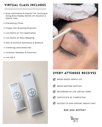 Virtual Brow Lamination & Hybrid Tint Demo
